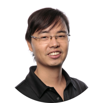 Lincoln Yuji Tsubamoto, Analista Programador Sênior